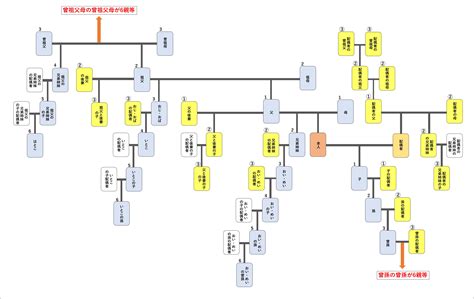 三血二姻|親族の法的な範囲（親等）を家系図を元に説明！血族・姻族との。